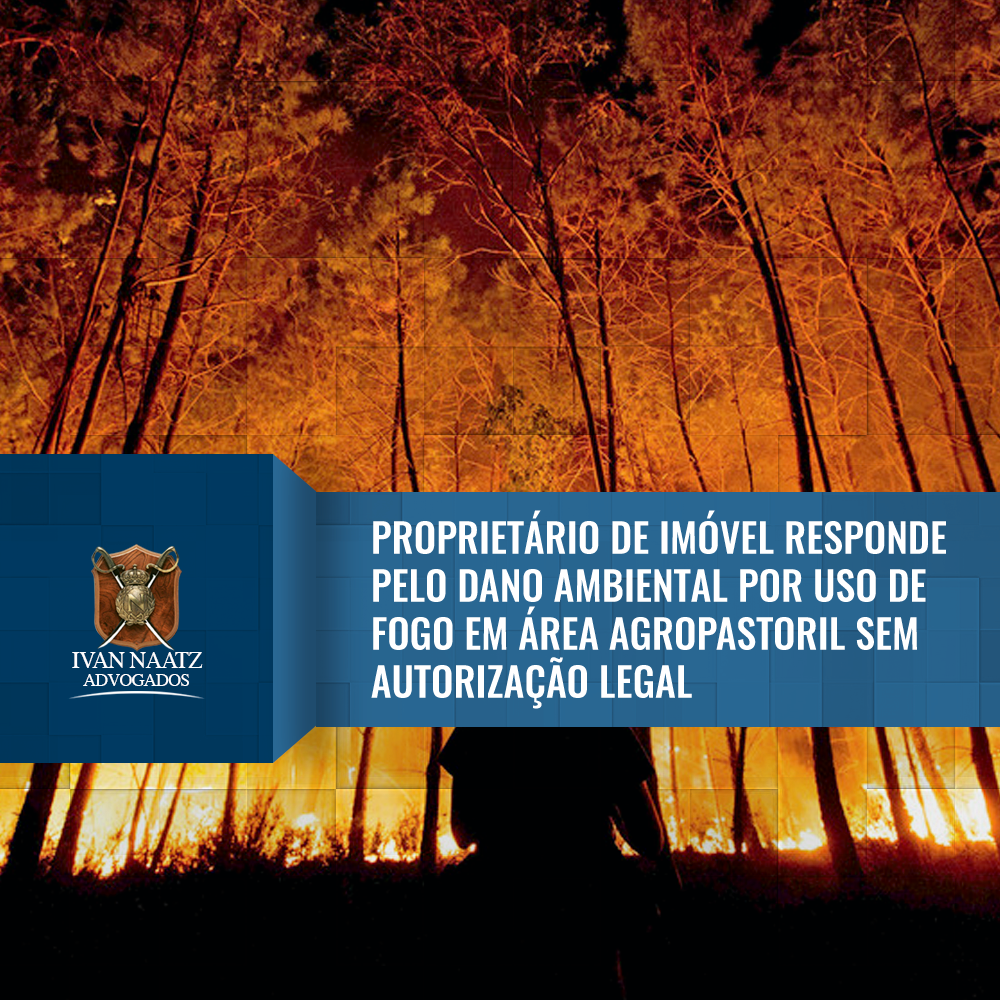 Proprietário de imóvel responde pelo dano ambiental por uso de fogo em área agropastoril sem autorização legal